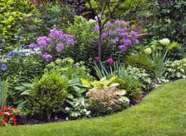 Thus, sod adds tremendous value to homes and businesses that extend beyond aesthetics. Other Services The Yard Shark Volusia County Florida