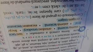 1 de rezultate pentru eticheta forma corecta cuvinte. Scrie Forma Corecta A Cuvintelor Taxi Tacsi Exema Eczsema Ortodoxi OrtodocÈi Lincsi Linxi Brainly Ro