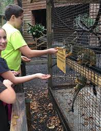 Bee City Zoo Birthday Party Charleston Sc City Zoo Bee City Zoo