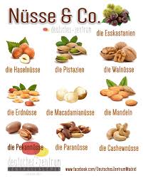 Nusse Deutsch Wortschatz Grammatik German Daf Vocabulario Aleman Grammaire Allemande Allemand Apprentissage De L Allemand