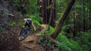 Pictures of mountain biking, road bike and urban biking welcome. Women S Mountain Bikes Trek Bikes De