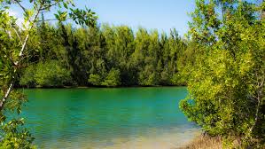 View a map of this area and more on natural atlas. Oleta River State Park The Complete Guide