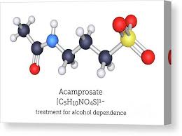 Image result for Acamprosate