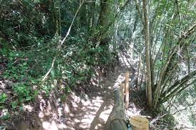 Fietsen Over De Ruta Del Carrilet Van Olot Naar Girona Avontuur Op Reis Wandelpad Fietsen Op Reis