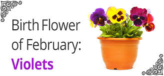We did not find results for: Birth Flowers By Month To Help You Pick The Best Gifts