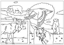 I hope you and your kids will enjoy our drawings. Pin On 6th Grade Geography Ideas