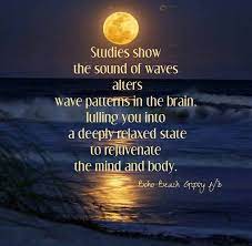 Studies Show Beach Quotes Ocean Quotes Beach