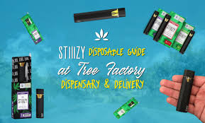 STIIIZY Disposable Vape Guide At Tree Factory Oxnard