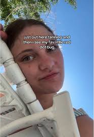 Gray Tiny Bugs with A Red Dot