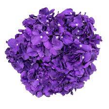 Wayfair.com has been visited by 1m+ users in the past month Purple Bunch Hydrangea Silk Flowers 6 Heads Per Bunch Fisch Floral Supply