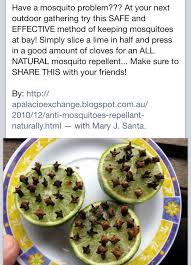 Pin By Maria Parekh On Tips Tricks Natural Mosquito Repellant Mosquito Repellent Mosquito