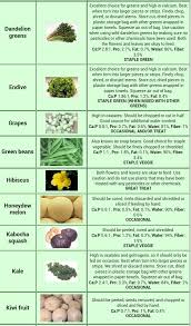 Food List Pg2 Bearded Dragon Diet Bearded Dragon Food Bearded Dragon Food List