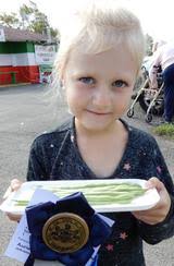 AMERICAN LEGION COUNTY FAIR