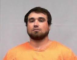 Alleged shooting of guns as part of gender reveal party could cost Harrison  County, West Virginia, parolee prison time