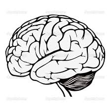 Part of this increase has been that once it was started, and adults started doing it, researchers were keen to understand whether it had any therapeutic benefits. Brain Coloring Page Brain Drawing Brain Art Drawing Brain Illustration