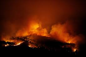 Check spelling or type a new query. Incendio Florestal Deixa Dezenas De Mortos Em Portugal