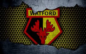 Lame, i know, i wish they would have stayed with the hornet. Wallpaper Wallpaper Sport Logo Football Watford Images For Desktop Section Sport Download