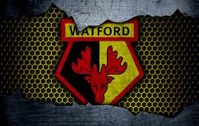 Soccer players from the english club watford f.c. Wallpaper Wallpaper Sport Logo Football Watford Images For Desktop Section Sport Download