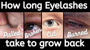 How long does it take for lashes to grow. How Long Does It Take For Eyelashes To Grow Back Do Eyelashes Grow Back Eyelashes Youtube