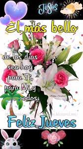 Pin By Maritza Pagan Miranda On Saludos De Buenos Dias In 2021 Maya Plants Video