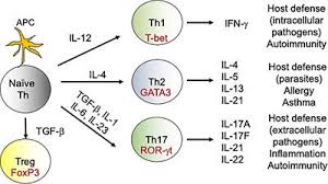 80 line invest 1000% jackpot bosku. Frontiers Vaccine Induced Immunological Memory In Invasive Fungal Infections A Dream So Close Yet So Far Immunology