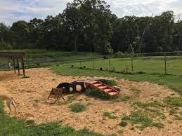 Get directions, reviews and information for happy tails inn pet resort in hackettstown, nj. Happy Tails Pet Resort 35 Photos 20 Reviews Pet Boarding 965 Generals Hwy Crownsville Md United States Phone Number Yelp