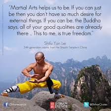 Awesome Shaolin Kung Fu Super Kung Fu Tai Chi Fan Martial Arts Quotes Martial Arts Martial