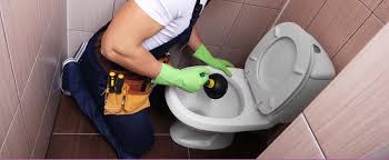 Comment Deboucher Des Toilettes Soi Meme Les Bons Tuyaux Homeserve