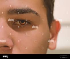 Hazel iris hi-res stock photography and images