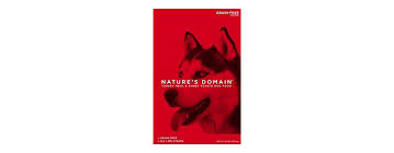 Recall on kirkland dog food? Kirkland Dog Food Review My Pet Needs That