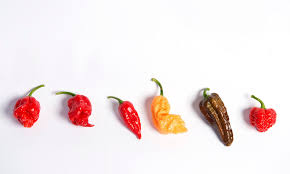 Scoville Scale How Hot Would You Go On The Chilli Pepper