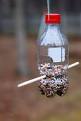 Bottle Top Bird Feeder Kit:.uk: Garden Outdoors