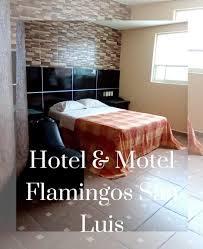 Auto Hotel Flamingos San Luis