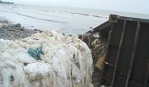Mumbai oil spill: threat to marine life ...