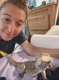 Why is my dog pulling out poop in this spot?