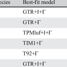 Image result for Thesium multiramulosum
