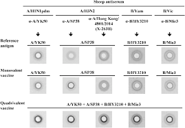 Candies will be airdropped into your. Reactivity Of The Srd Reagents And Sheep Antisera With The Respective Download Scientific Diagram