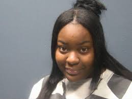 Sevier county arrest records available online