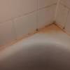 The long handle allows you to better reach all areas of your shower and tub. 1