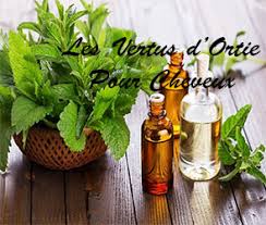 Ces feuilles, elles, sont très bonnes pour la peau, les cheveux et surtout. L Ortie Piquante Vertus Et Proprietes Pour La Pousse Des Cheveux