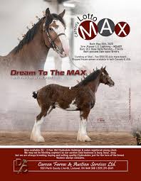 2023-clyde-contact-ad-carsons-006.jpg?dl=1