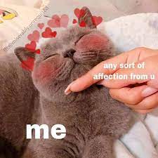 Pin By Ngann On Wholesome Memes Cute Love Memes Cute Cat Memes Cat Memes