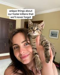 foster kitten awards 🏆 part 1…. some of our most memorable foster kittens.  u should try fostering too!!! 🫶 #fosterkittens #adoptdontshop #cutekittens  #funnycat #catlover