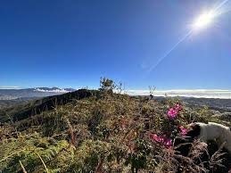 Vista de Caracas desde Los Altos de Pipe, San Antonio de Los Altos, edo.  Miranda. Se observa la silueta a lo lejos del PN Waraira Repano y Caracas.  @lobobikes #caracas #venezuela #waraira #