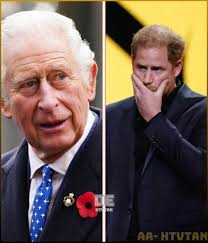 Who can stand in for the boy in the line of succession?