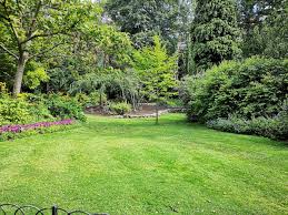 How often do you need to treat your yard for mosquitoes? — Queen Bee
