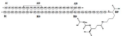 Tresiba Insulin Degludec Injection Side Effects