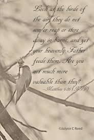 Birds Of The Air Bible Quote Pin On Life On The Prairie