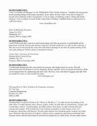 awesome best buy resume examples