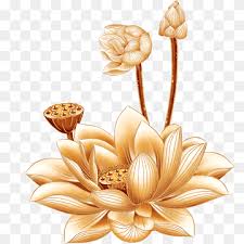 Maybe you would like to learn more about one of these? Tum Png Images Pngwing